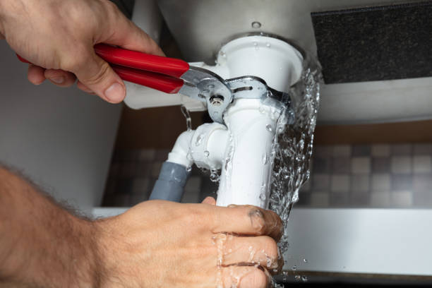 Best Water damage contractors near me  in Odessa, FL