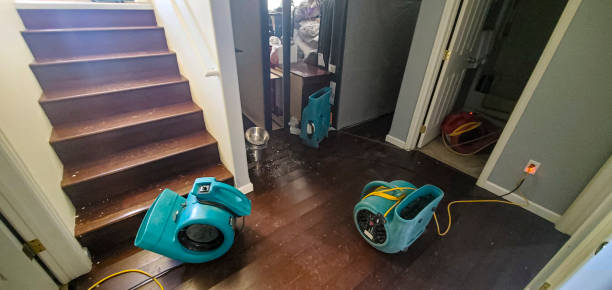 Best Water damage restoration near me  in Odessa, FL