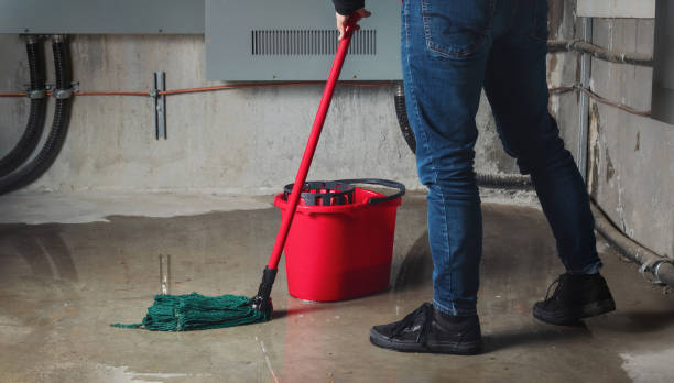 Best Professional water damage repair  in Odessa, FL