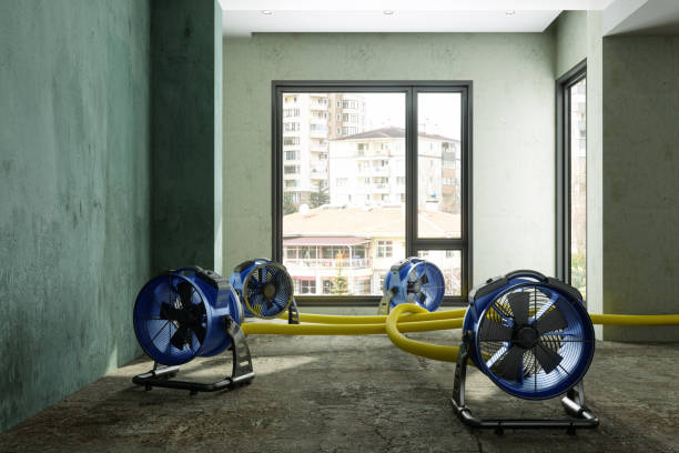 Best Residential water damage restoration  in Odessa, FL