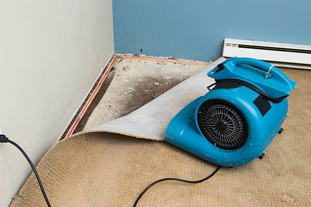 Best Flooded house restoration  in Odessa, FL